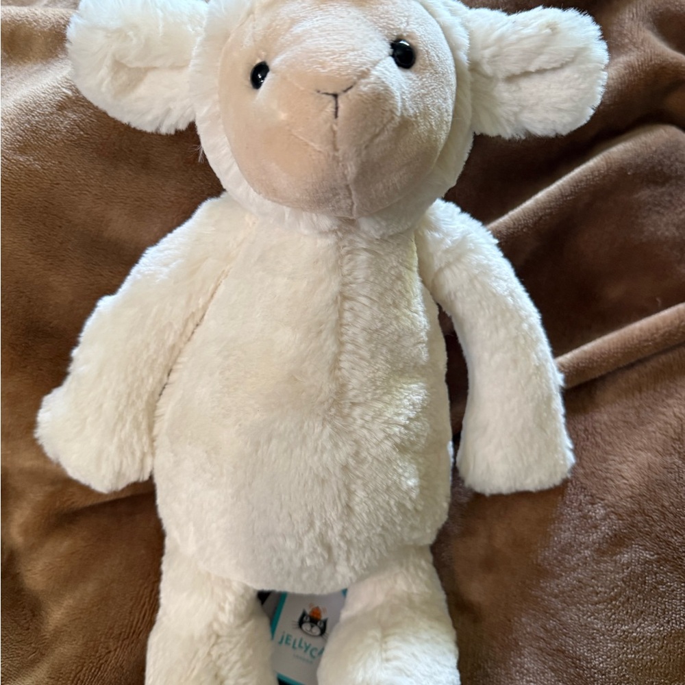 Jellycat bashful Lamb